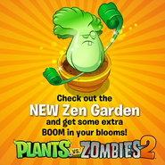 An advertisement for Zen Garden posted in the Plants vs. Zombies Facebook page featuring the Bonk Choy