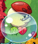 Bubble Up being used on Buff-Shroom