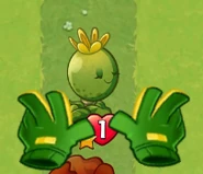 Gardening Gloves being played on Lil' Buddy