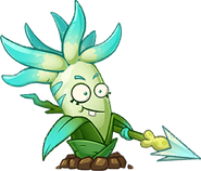 HD Pike Hoya