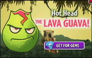 An advertisement for Lava Guava