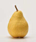 Yellow Pear