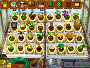 Complete Zen Garden in the iPad version (by PufferLightning95)