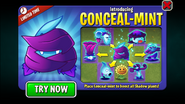 Conceal-mint in an advertisement