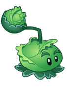 HD Cabbage-pult