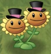 Twin Sunflower in its top hats costume.