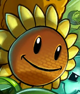 Sunflower on the old loading screen