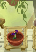 Nightshade being watered (animated, 10.5.2)