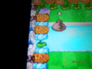 Nintendo DS: Error de que falta el Nenúfar y Hieli está flotando en el agua