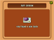 The player receiving Puff-shroom in the Java version