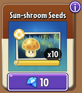 Sun-shroom's seeds in the store (10.2.1)