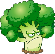 Broccoli HD