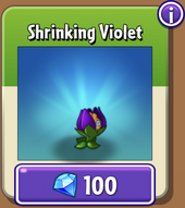 Shrinking Violet in the store (9.7.1)