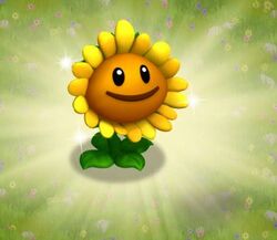 Steam Workshop::Potted Sunflower (Plants Vs. Zombies)