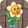 NarcissusO.png
