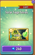 Solar Sage's seeds in the store (Promoted)