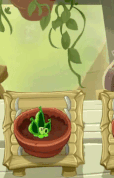 Pea Pod being watered (animated, 10.5.2)