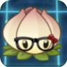 Power Lily (black glasses with a red bow)