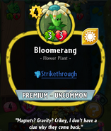 Bloomerang's statistics before update 1.2.11