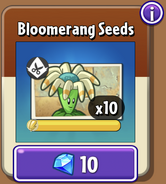 Bloomerang's seeds in the store (10.2.1)