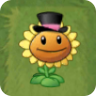 Sunflower (top hat with pink ribbon)