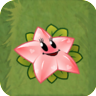 Angel Starfruit2.png