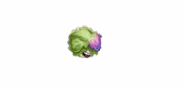 Animations of Headbutter Lettuce with costume while being idle