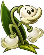 HD MayBee