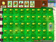 A lawn filled with Peashooters in the Java version (hacking used)