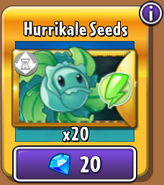 Hurrikale's seeds in the store