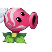 Sweet Pea's card image