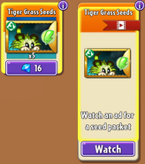 Tiger Grass' seed packets in the store