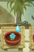 Frost Bonnet being watered (animated)