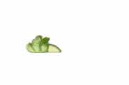 Animations of Headbutter Lettuce when fed Plant Food