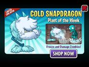 Cold Snapdragon featured as Plant of the Week