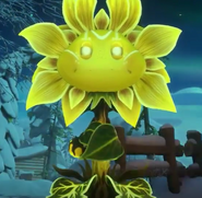 Sunflower queen