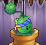 Cabbage-pult (blue, red and yellow headband)