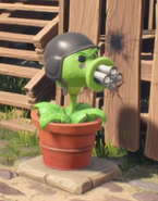 Gatling Pea in the game.