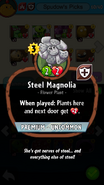 Steel Magnolia's statistics