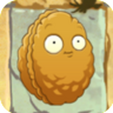 Plants vs. Zombies 2: Wall Nut - Walls 360