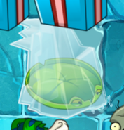 Frozen Lily Pad