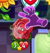 Knockout being played (3)