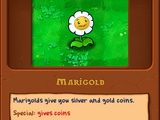 Marigold