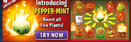 Pepper-mint in an ad on the main menu