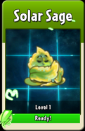 Solar Sage's animation when she's ready to level up