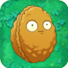 Wall-nut (Plants vs. Zombies 2) | Plants vs. Zombies Wiki | Fandom