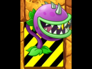 An endangered Chomper