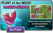 Magnet-shroom featured as Plant of the Week