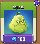 Squash in the store (9.7.1)