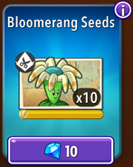 Bloomerang's seeds in the store (10.9.1)